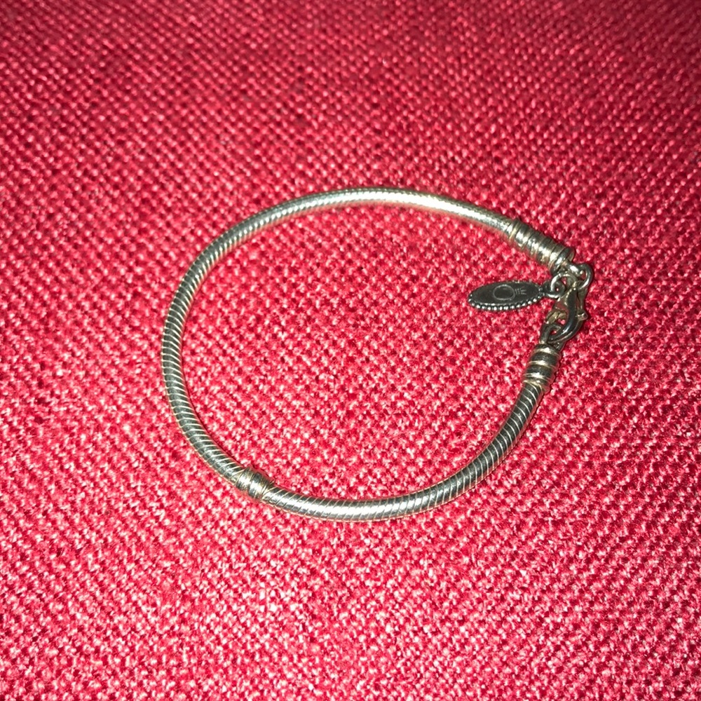 Pandora Bracelet